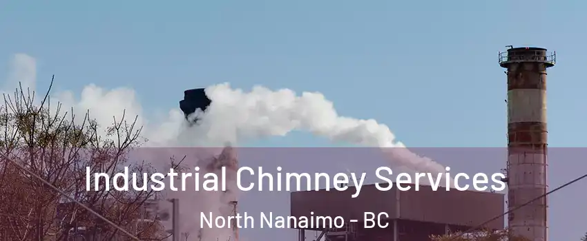  Industrial Chimney Services North Nanaimo - BC