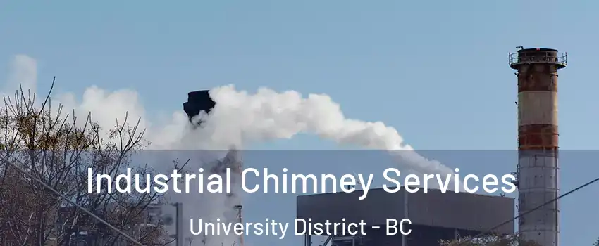  Industrial Chimney Services University District - BC