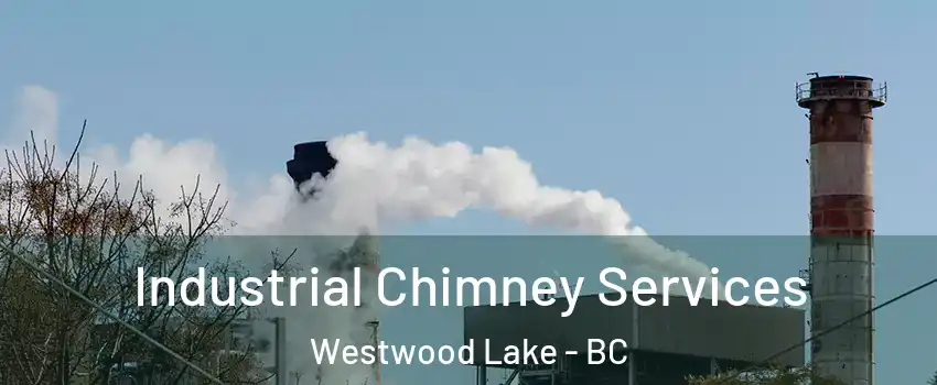  Industrial Chimney Services Westwood Lake - BC