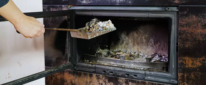 Wood Burning Chimney Odor Removal in Dover Bay, British Columbia