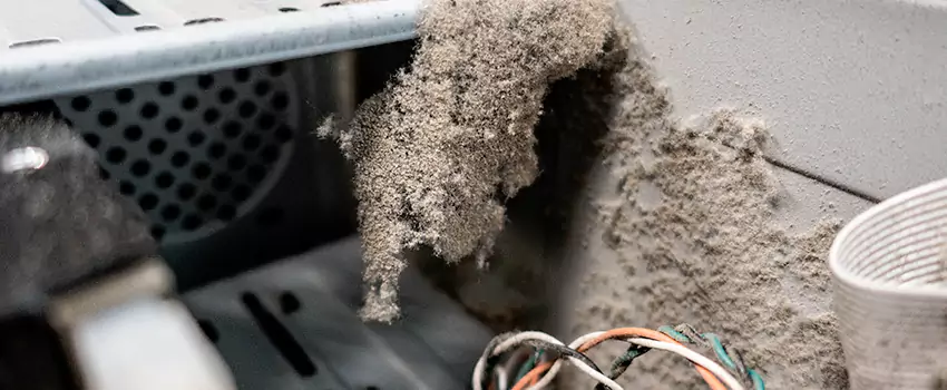 Clogged Dryer Vent Lint Cleaning in Dover Bay, British Columbia
