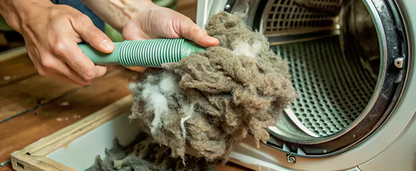 Best Dryer Lint Removal Company in Dover Bay, British Columbia