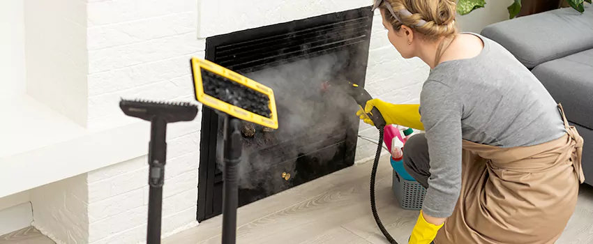 Fireplace Doors Cleaning in Dover Bay, British Columbia