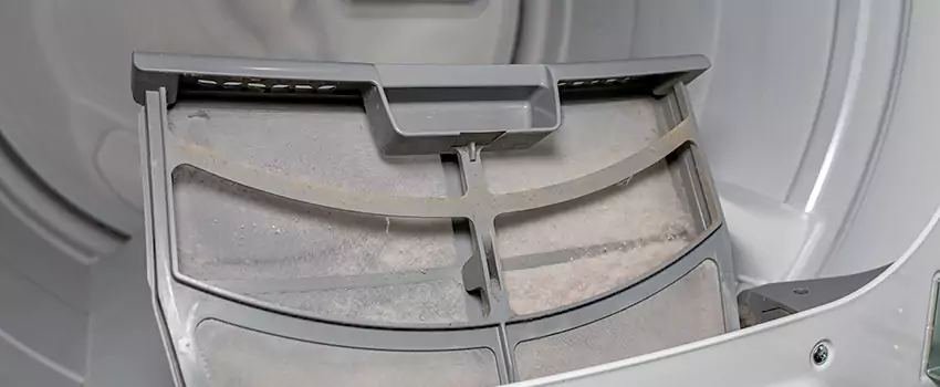 Benefits of Professional Clogged Dryer Vent Cleaning in Dover Bay, British Columbia