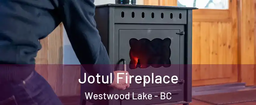  Jotul Fireplace Westwood Lake - BC