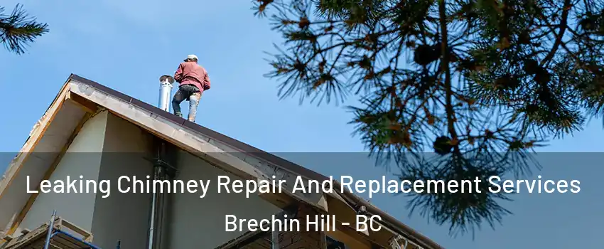  Leaking Chimney Repair And Replacement Services Brechin Hill - BC