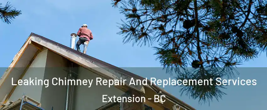  Leaking Chimney Repair And Replacement Services Extension - BC