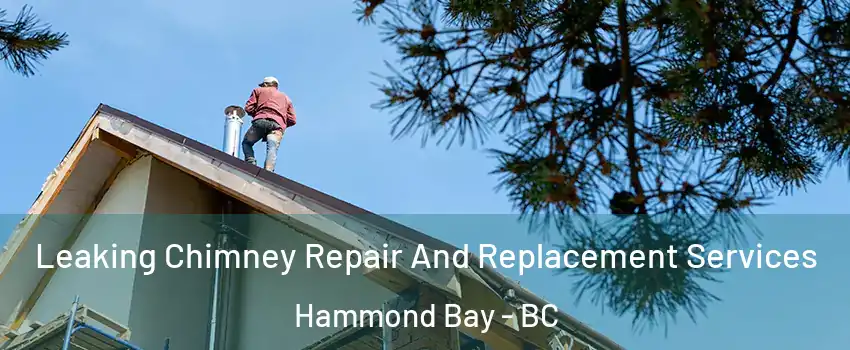  Leaking Chimney Repair And Replacement Services Hammond Bay - BC
