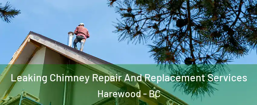  Leaking Chimney Repair And Replacement Services Harewood - BC