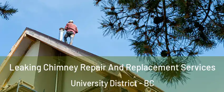  Leaking Chimney Repair And Replacement Services University District - BC
