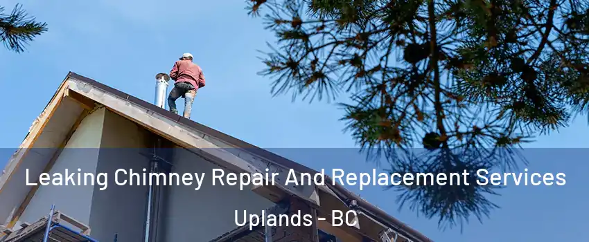  Leaking Chimney Repair And Replacement Services Uplands - BC