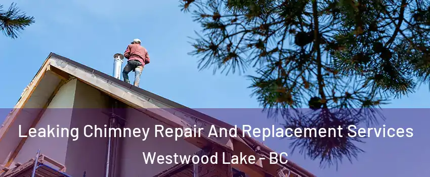  Leaking Chimney Repair And Replacement Services Westwood Lake - BC
