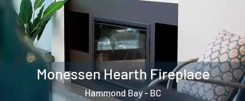  Monessen Hearth Fireplace Hammond Bay - BC