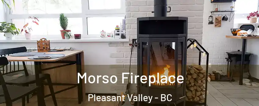  Morso Fireplace Pleasant Valley - BC