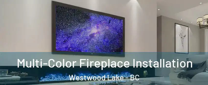  Multi-Color Fireplace Installation Westwood Lake - BC
