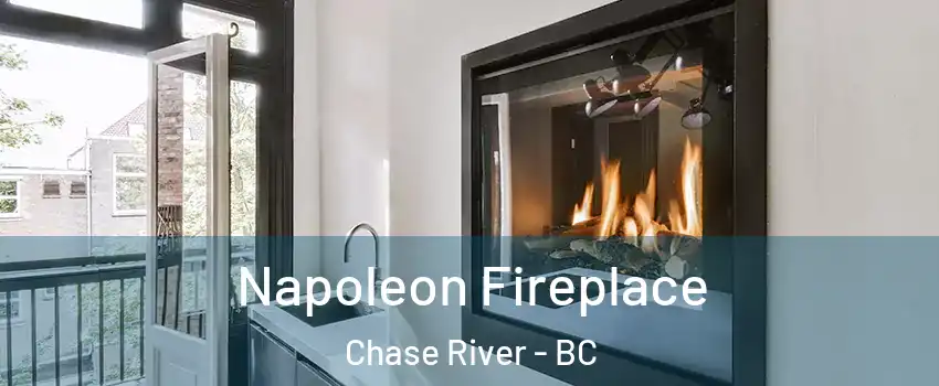  Napoleon Fireplace Chase River - BC