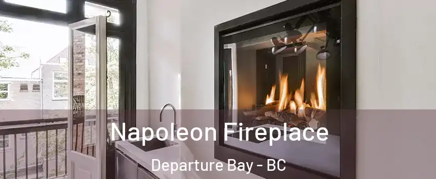  Napoleon Fireplace Departure Bay - BC