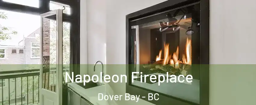  Napoleon Fireplace Dover Bay - BC
