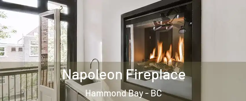 Napoleon Fireplace Hammond Bay - BC