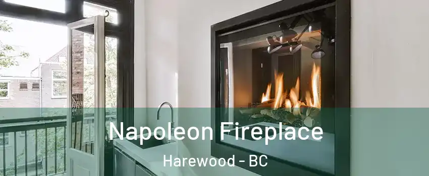 Napoleon Fireplace Harewood - BC