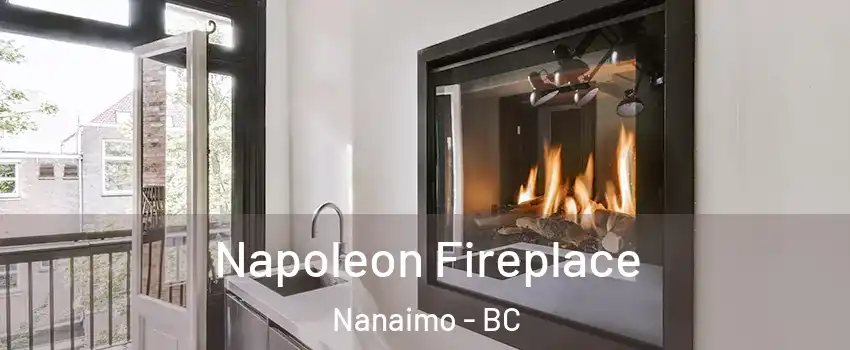  Napoleon Fireplace Nanaimo - BC