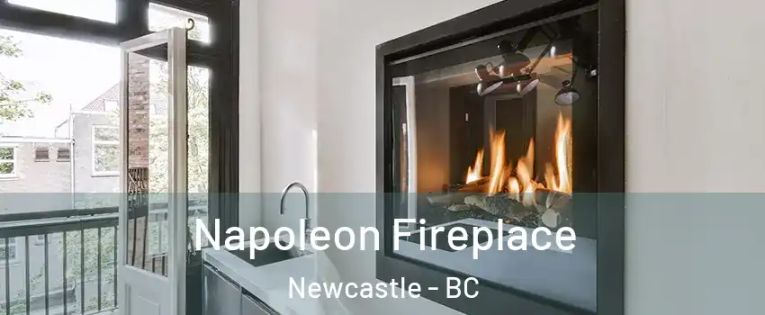  Napoleon Fireplace Newcastle - BC