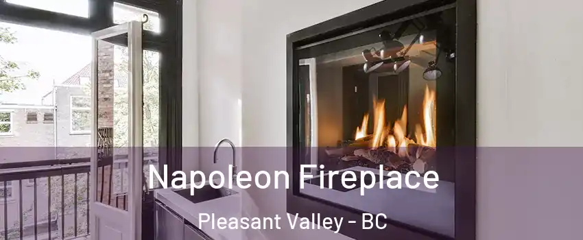  Napoleon Fireplace Pleasant Valley - BC