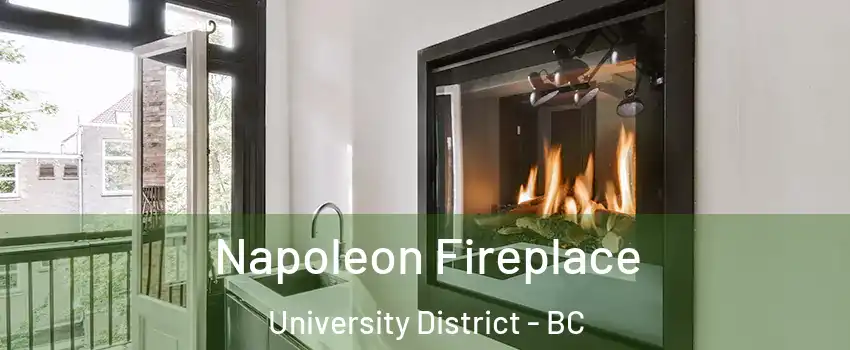  Napoleon Fireplace University District - BC