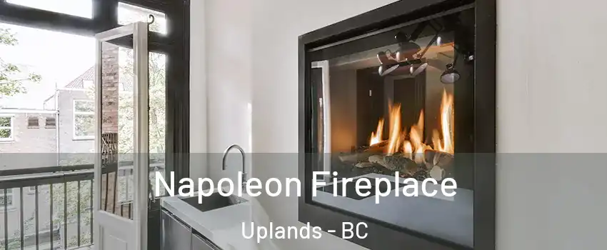  Napoleon Fireplace Uplands - BC