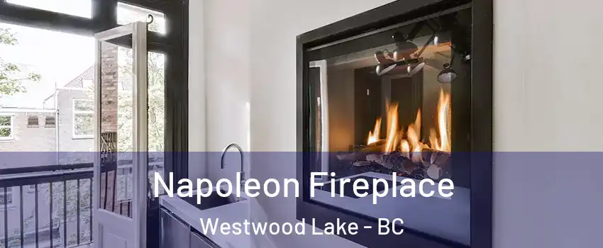  Napoleon Fireplace Westwood Lake - BC