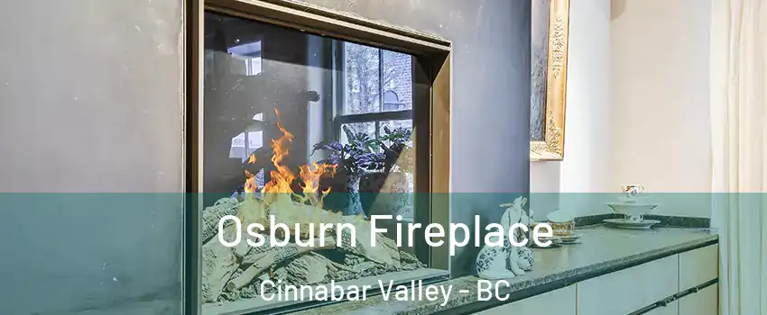  Osburn Fireplace Cinnabar Valley - BC