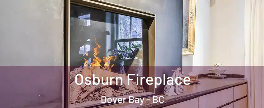  Osburn Fireplace Dover Bay - BC