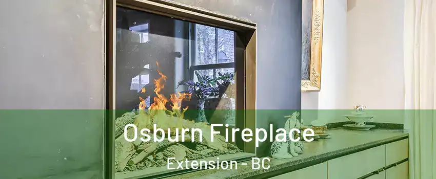  Osburn Fireplace Extension - BC
