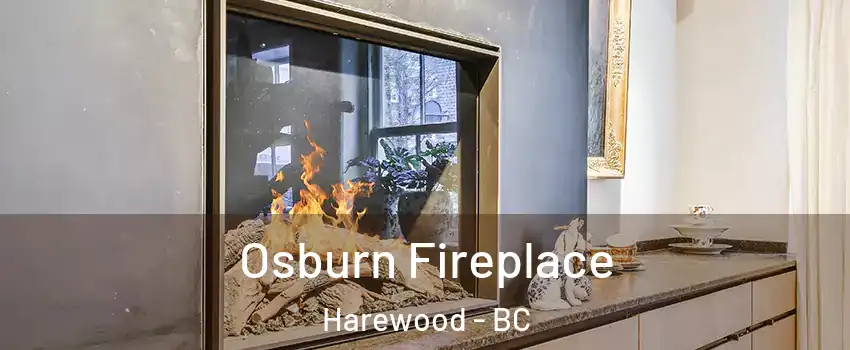  Osburn Fireplace Harewood - BC