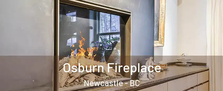  Osburn Fireplace Newcastle - BC