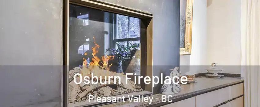  Osburn Fireplace Pleasant Valley - BC