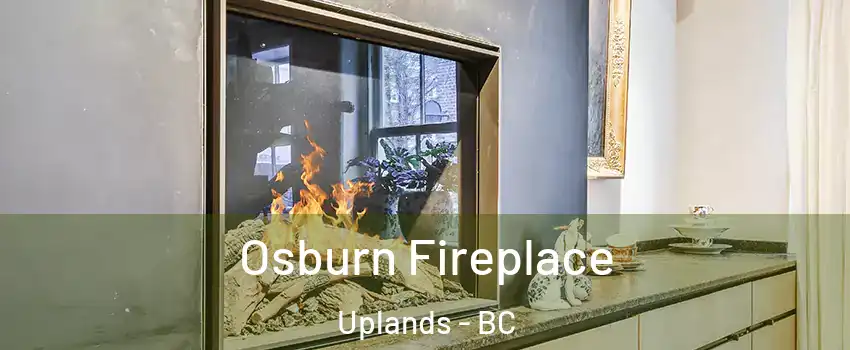  Osburn Fireplace Uplands - BC