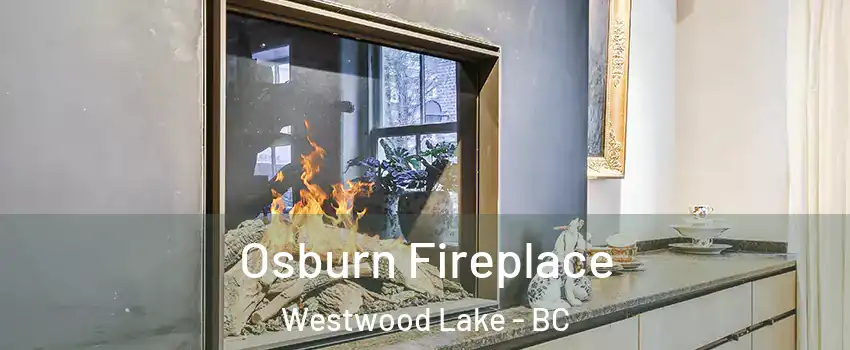  Osburn Fireplace Westwood Lake - BC
