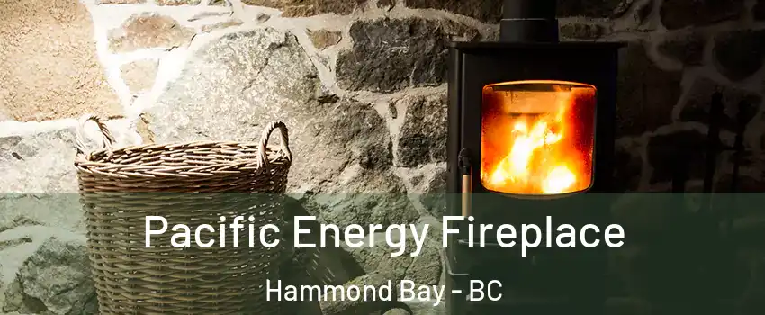  Pacific Energy Fireplace Hammond Bay - BC