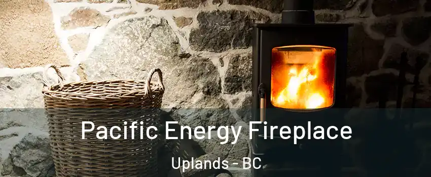  Pacific Energy Fireplace Uplands - BC