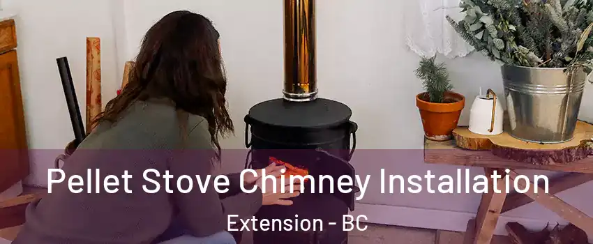  Pellet Stove Chimney Installation Extension - BC