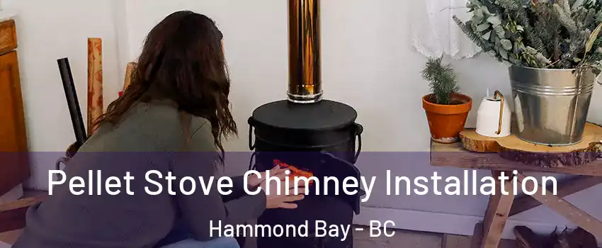  Pellet Stove Chimney Installation Hammond Bay - BC