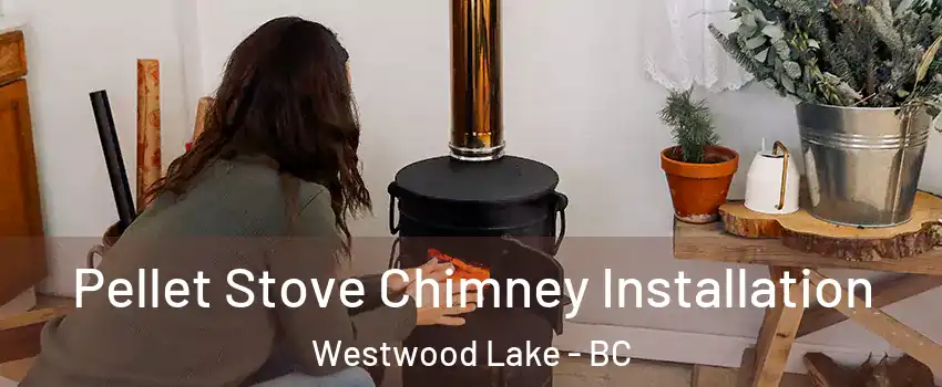  Pellet Stove Chimney Installation Westwood Lake - BC