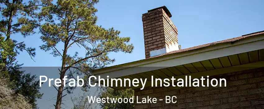  Prefab Chimney Installation Westwood Lake - BC