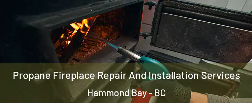 Propane Fireplace Repair And Installation Services Hammond Bay - BC
