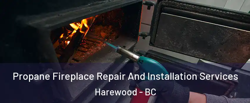Propane Fireplace Repair And Installation Services Harewood - BC
