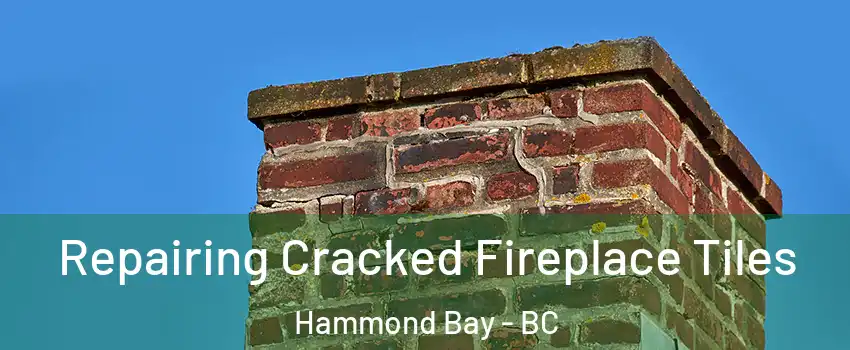  Repairing Cracked Fireplace Tiles Hammond Bay - BC