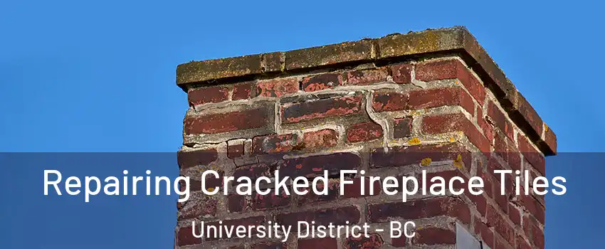  Repairing Cracked Fireplace Tiles University District - BC