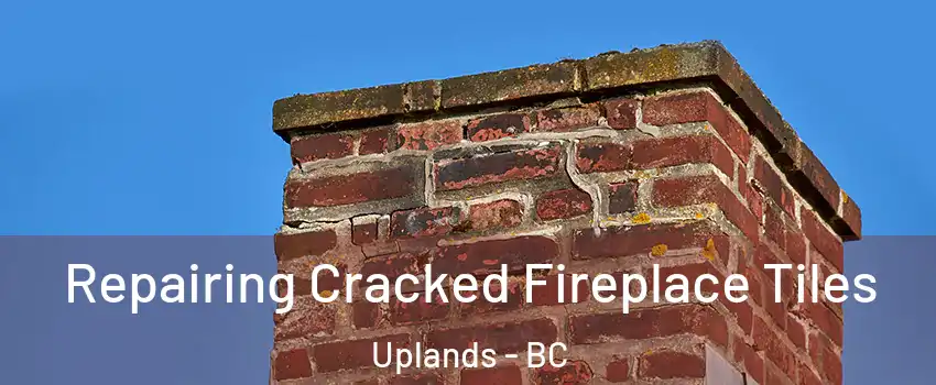  Repairing Cracked Fireplace Tiles Uplands - BC