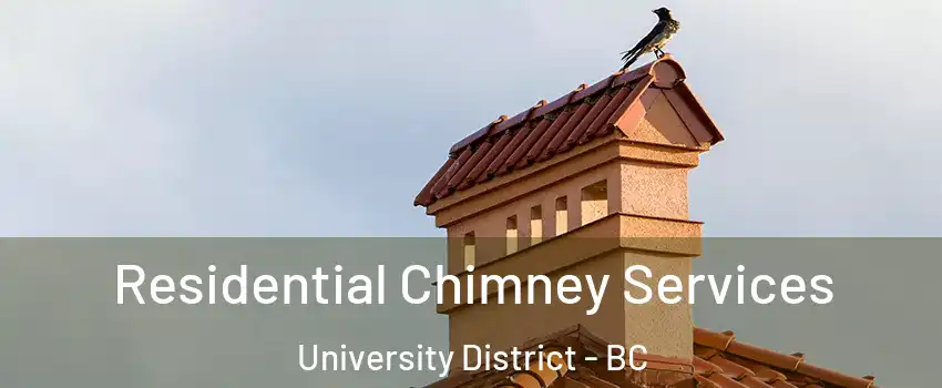  Residential Chimney Services University District - BC